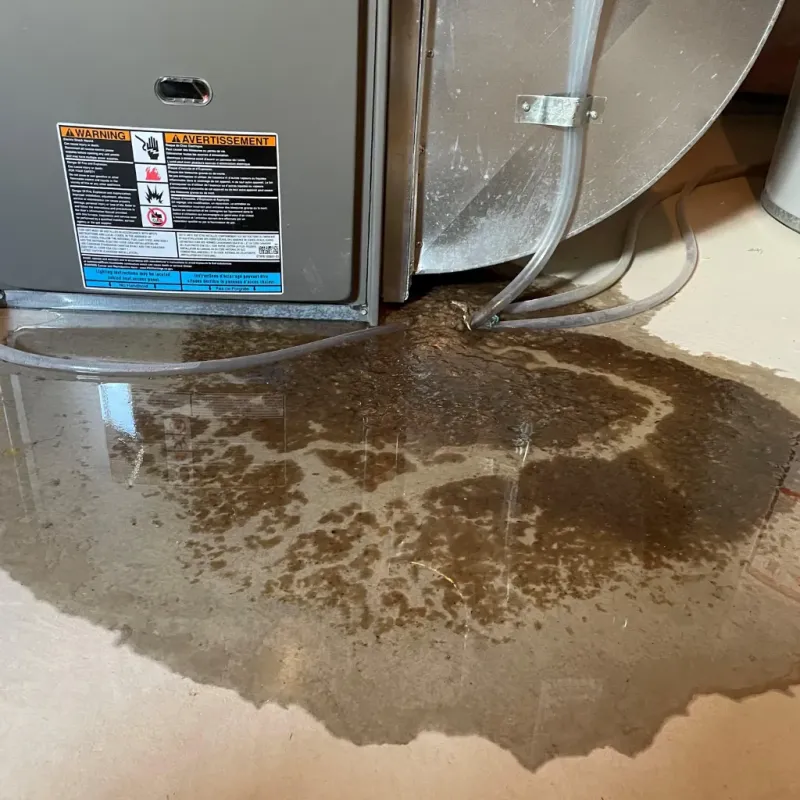 Appliance Leak Cleanup in Baylor County, TX